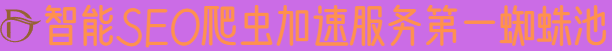 智能SEO爬虫加速服务第一蜘蛛池